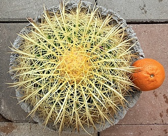 Нажмите на изображение для увеличения.

Название:	photo_2026-01-27_11-00-31.jpg
Просмотров:	150
Размер:	320.2 Кб
ID:	542565