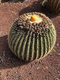 Нажмите на изображение для увеличения.  Название:	IMG_1791.jpg Просмотров:	0 Размер:	419.0 Кб ID:	542571