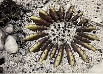 Нажмите на изображение для увеличения.

Название:	IMG_1564.jpg
Просмотров:	82
Размер:	277.1 Кб
ID:	542588