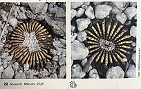 Нажмите на изображение для увеличения.

Название:	IMG_1570.jpg
Просмотров:	81
Размер:	232.2 Кб
ID:	542589