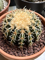 Нажмите на изображение для увеличения.

Название:	IMG_1576.jpg
Просмотров:	100
Размер:	247.7 Кб
ID:	542596