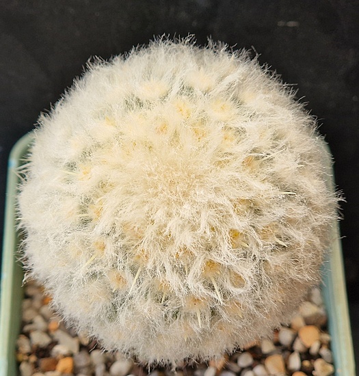 Нажмите на изображение для увеличения.

Название:	грузон.jpg
Просмотров:	78
Размер:	237.1 Кб
ID:	542601