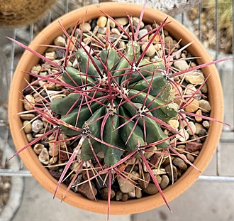 Нажмите на изображение для увеличения.

Название:	photo_2026-01-30_16-36-11.jpg
Просмотров:	84
Размер:	267.6 Кб
ID:	542627