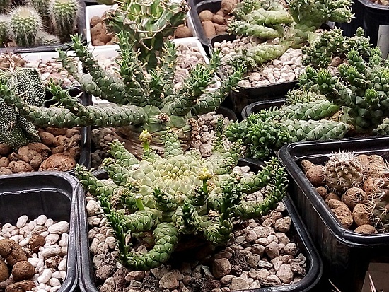 Нажмите на изображение для увеличения.

Название:	111.jpg
Просмотров:	78
Размер:	207.1 Кб
ID:	542631