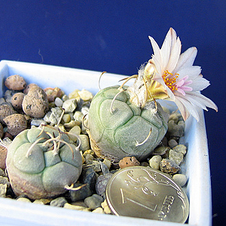 Нажмите на изображение для увеличения.

Название:	IMG_1800.jpg
Просмотров:	36
Размер:	241.8 Кб
ID:	542738