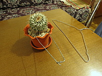 Нажмите на изображение для увеличения.  Название:	IMG_1023.jpg Просмотров:	0 Размер:	276.4 Кб ID:	542821