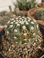 Нажмите на изображение для увеличения.

Название:	20260210_183738.jpg
Просмотров:	57
Размер:	206.8 Кб
ID:	542835