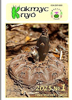 Нажмите на изображение для увеличения.

Название:	2026-02-15_21-22-23.jpg
Просмотров:	16
Размер:	59.4 Кб
ID:	542869