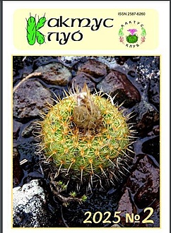 Нажмите на изображение для увеличения.

Название:	2026-02-15_20-17-33.jpg
Просмотров:	16
Размер:	54.5 Кб
ID:	542870