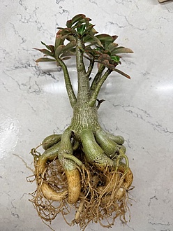 Нажмите на изображение для увеличения.

Название:	photo_2026-02-17_11-24-53.jpg
Просмотров:	6
Размер:	180.3 Кб
ID:	542891