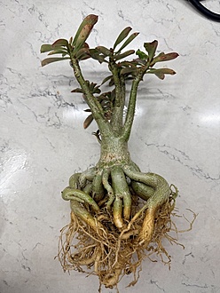 Нажмите на изображение для увеличения.

Название:	photo_2026-02-17_11-25-18.jpg
Просмотров:	5
Размер:	184.6 Кб
ID:	542892