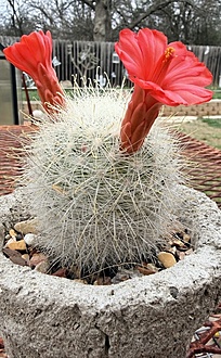 Нажмите на изображение для увеличения.

Название:	photo_2026-03-06_13-43-34.jpg
Просмотров:	19
Размер:	251.5 Кб
ID:	543032