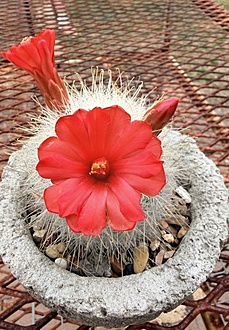 Нажмите на изображение для увеличения.

Название:	photo_2026-03-06_13-43-25.jpg
Просмотров:	20
Размер:	220.4 Кб
ID:	543033