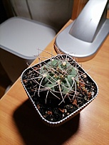 Нажмите на изображение для увеличения.

Название:	IMG_20260316_183705.jpg
Просмотров:	62
Размер:	164.2 Кб
ID:	543194