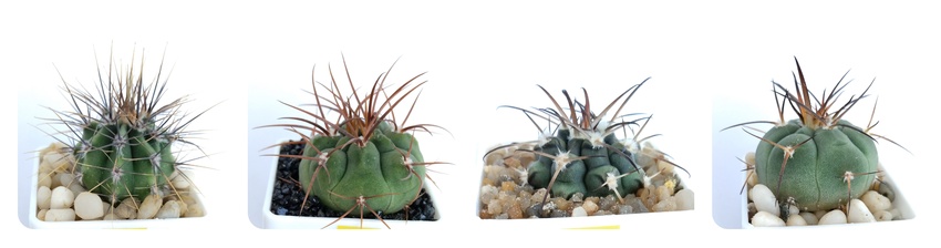 Нажмите на изображение для увеличения.  Название:	1774008614901.jpg Просмотров:	0 Размер:	52.6 Кб ID:	543200