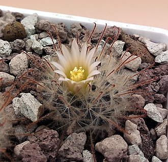 Нажмите на изображение для увеличения.

Название:	2.jpg
Просмотров:	49
Размер:	367.1 Кб
ID:	543219