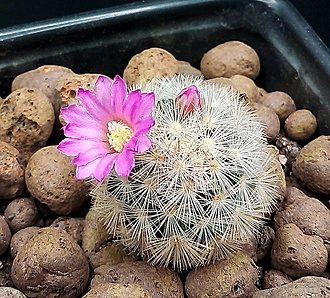 Нажмите на изображение для увеличения.

Название:	2.jpg
Просмотров:	50
Размер:	366.3 Кб
ID:	543222