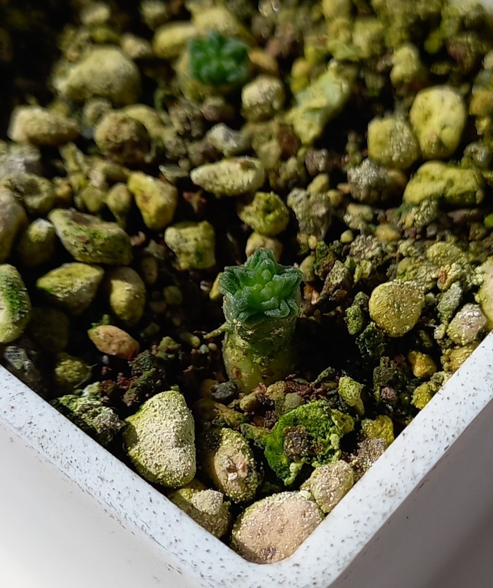 Нажмите на изображение для увеличения.

Название:	20260326_132733(0).jpg
Просмотров:	22
Размер:	228.3 Кб
ID:	543274