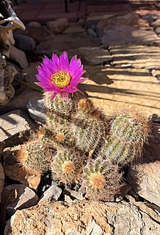 Нажмите на изображение для увеличения.

Название:	IMG_1782.jpg
Просмотров:	118
Размер:	250.2 Кб
ID:	543317