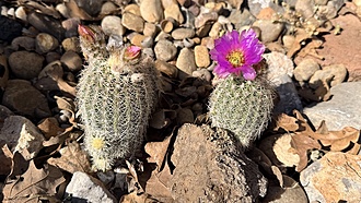 Нажмите на изображение для увеличения.

Название:	IMG_1787.jpg
Просмотров:	117
Размер:	220.2 Кб
ID:	543318