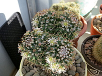 Нажмите на изображение для увеличения.

Название:	IMG_0899.jpg
Просмотров:	125
Размер:	233.6 Кб
ID:	543331