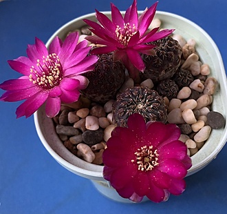 Нажмите на изображение для увеличения.

Название:	IMG_3172.jpg
Просмотров:	74
Размер:	193.1 Кб
ID:	543410