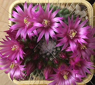 Нажмите на изображение для увеличения.

Название:	IMG_3179.jpg
Просмотров:	74
Размер:	258.7 Кб
ID:	543411