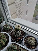 Нажмите на изображение для увеличения.

Название:	IMG_20260409_112324.jpg
Просмотров:	82
Размер:	210.6 Кб
ID:	543496