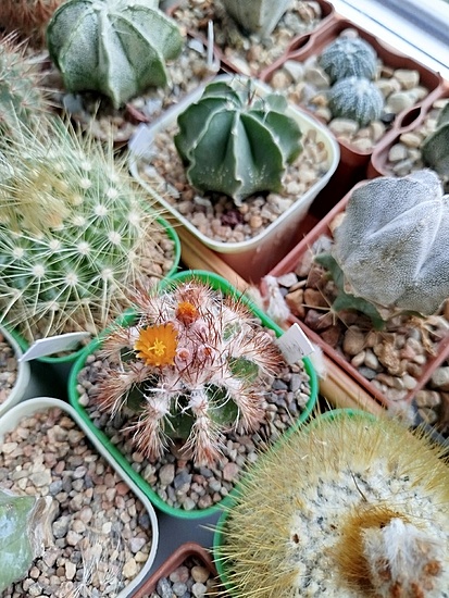 Нажмите на изображение для увеличения.

Название:	IMG_20260409_181511.jpg
Просмотров:	0
Размер:	242.7 Кб
ID:	543503