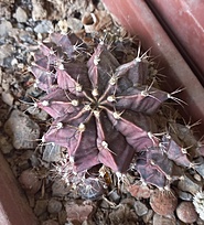 Нажмите на изображение для увеличения.

Название:	20260411_093549.jpg
Просмотров:	50
Размер:	229.7 Кб
ID:	543512