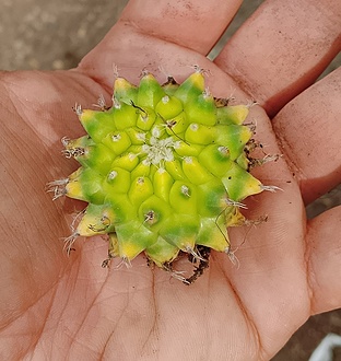 Нажмите на изображение для увеличения.

Название:	PSX_20260411_164018.jpg
Просмотров:	0
Размер:	217.8 Кб
ID:	543514