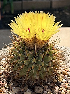 Нажмите на изображение для увеличения.

Название:	photo_2026-04-13_23-14-07.jpg
Просмотров:	79
Размер:	238.6 Кб
ID:	543526