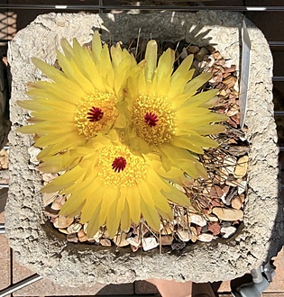 Нажмите на изображение для увеличения.

Название:	photo_2026-04-13_23-13-58.jpg
Просмотров:	79
Размер:	321.1 Кб
ID:	543527