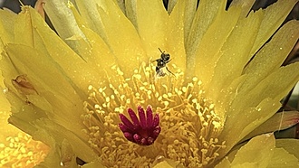 Нажмите на изображение для увеличения.

Название:	photo_2026-04-13_23-14-14.jpg
Просмотров:	79
Размер:	126.2 Кб
ID:	543528