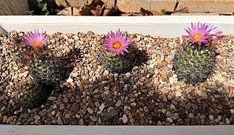 Нажмите на изображение для увеличения.

Название:	photo_2026-04-13_23-14-43.jpg
Просмотров:	79
Размер:	226.8 Кб
ID:	543529