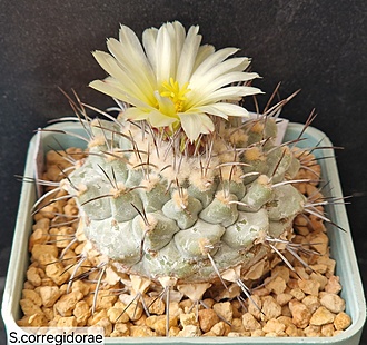 Нажмите на изображение для увеличения.

Название:	4.jpg
Просмотров:	33
Размер:	250.4 Кб
ID:	543559