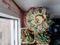 Нажмите на изображение для увеличения.

Название:	IMG_20260416_171626.jpg
Просмотров:	51
Размер:	112.0 Кб
ID:	543581