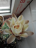 Нажмите на изображение для увеличения.

Название:	IMG_20260416_171732_1.jpg
Просмотров:	52
Размер:	116.4 Кб
ID:	543580