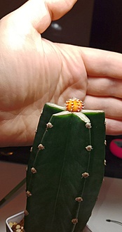 Нажмите на изображение для увеличения.

Название:	IMG_20260418_002922_361.jpg
Просмотров:	16
Размер:	92.0 Кб
ID:	543618