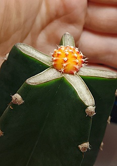 Нажмите на изображение для увеличения.

Название:	IMG_20260418_002922_843.jpg
Просмотров:	16
Размер:	135.2 Кб
ID:	543619