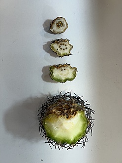 Нажмите на изображение для увеличения.

Название:	IMG_7401.jpg
Просмотров:	0
Размер:	118.4 Кб
ID:	543622