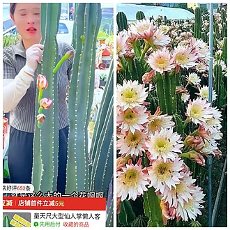 Нажмите на изображение для увеличения.

Название:	GridArt_20260418_115005930.jpg
Просмотров:	0
Размер:	288.1 Кб
ID:	543625