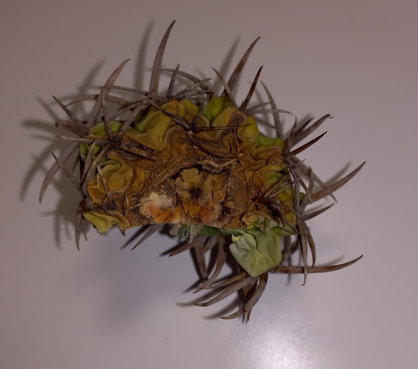 Нажмите на изображение для увеличения.

Название:	20260420_122111.jpg
Просмотров:	0
Размер:	123.5 Кб
ID:	543653