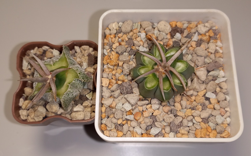 Нажмите на изображение для увеличения.

Название:	20260420_121457.jpg
Просмотров:	0
Размер:	157.1 Кб
ID:	543654