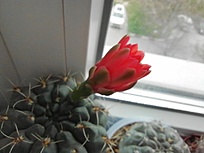 Нажмите на изображение для увеличения.

Название:	IMG_20260421_132926.jpg
Просмотров:	19
Размер:	108.3 Кб
ID:	543685