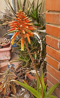 Нажмите на изображение для увеличения.

Название:	20260422_120425.jpg
Просмотров:	51
Размер:	157.8 Кб
ID:	543704