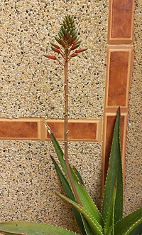 Нажмите на изображение для увеличения.

Название:	20260422_120413.jpg
Просмотров:	51
Размер:	270.0 Кб
ID:	543705