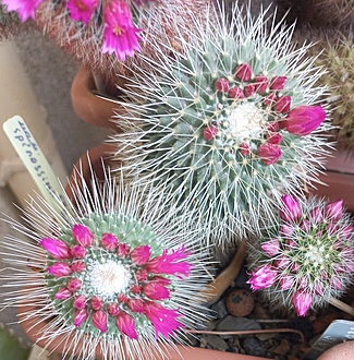 Нажмите на изображение для увеличения.

Название:	20260426_100541.jpg
Просмотров:	17
Размер:	341.7 Кб
ID:	543752