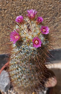 Нажмите на изображение для увеличения.

Название:	20260428_114536.jpg
Просмотров:	0
Размер:	188.1 Кб
ID:	543804