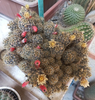 Нажмите на изображение для увеличения.

Название:	20260428_133426.jpg
Просмотров:	57
Размер:	274.2 Кб
ID:	543813